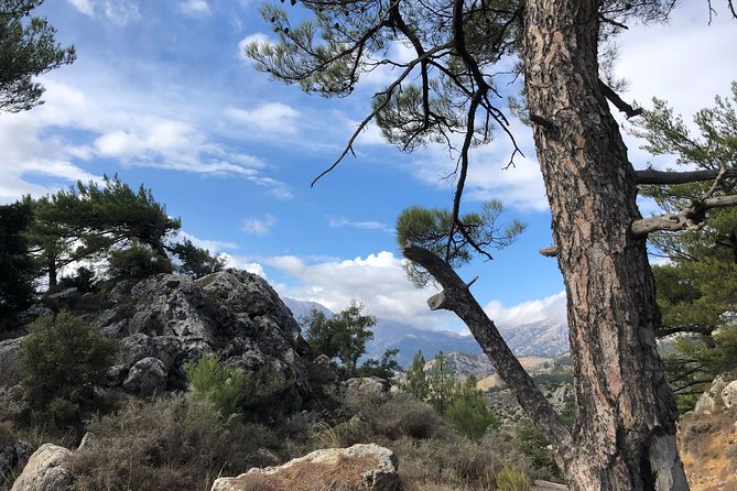 Sarakina Gorge, Kritza, Oliveoil Tasting, Mountains, South Coast - What the $119.73 price includes