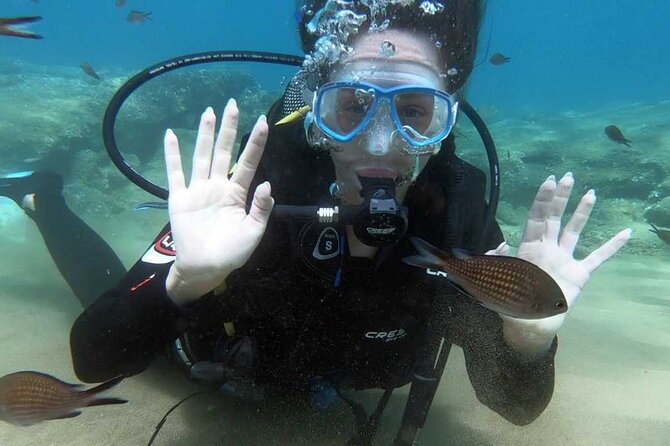 Scuba Diving for Beginners with a PADI Instructor near Heraklion - Pickup from Heraklion and the timing