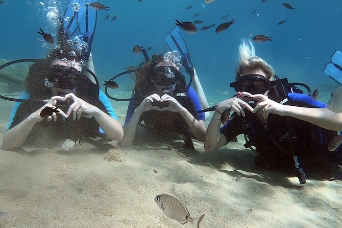 Scuba Diving for Beginners with a PADI Instructor near Heraklion - Who should book this Crete scuba experience?