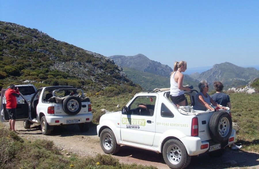 Self-Drive Jeep Safari to South Coast, Palm Beach & Canyons - Local plants, fruit, and the human side of the route