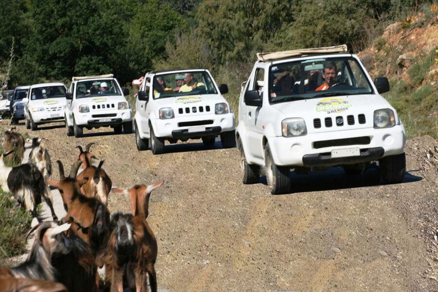 Self-Drive Jeep Safari to South Coast, Palm Beach & Canyons - Kourtaliotiko Gorge near the end of the day