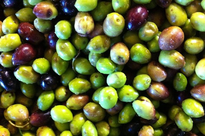 Semi Private Wine and Olive Oil tour (Transfer & Lunch Incl.) - Should you book it?