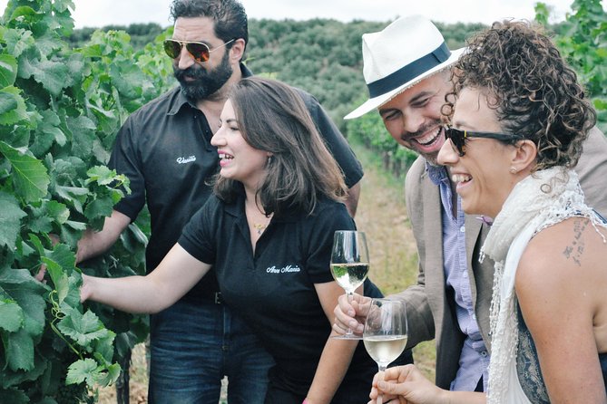 Semi-Private Wine Discovery Tour in Chania - Key points at a glance