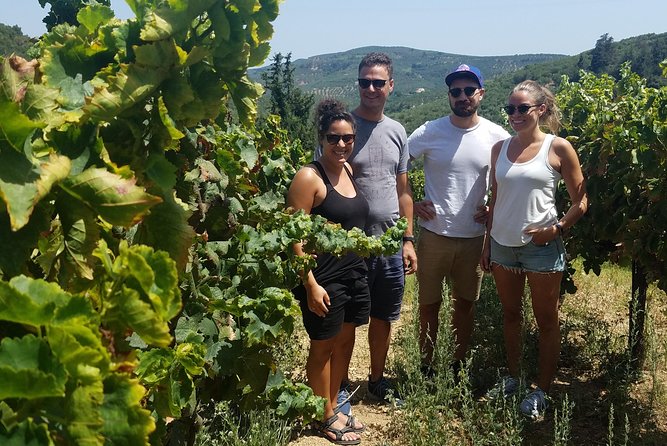 Semi-Private Wine Discovery Tour in Chania - What this Chania wine tour is really about