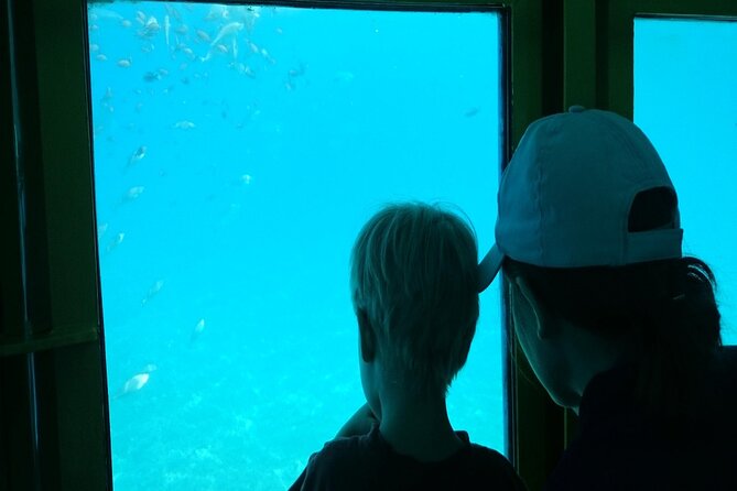 Semi-Submarine Tour from Agios Nikolaos - Who will enjoy this most