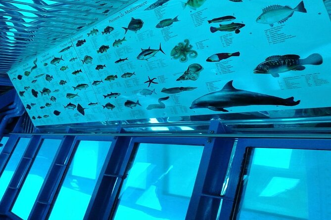 Semi-Submarine Tour from Agios Nikolaos - Smart ways to get more from the boat