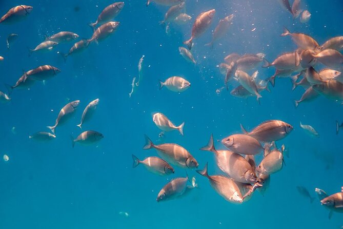 Semi-Submarine Tour from Agios Nikolaos - Booking, cancellation, and basic details