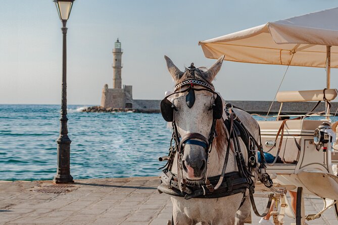 Shore Explore Chania: City Charm, Beach, Monastery & Winetasting - Marathi Beach for swimming and a late break
