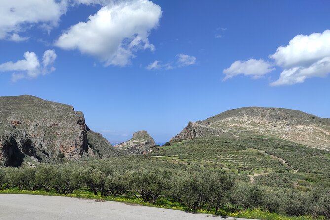 Sips of Crete: Flavors, Legends & Hidden Gems - Vouves offers 15 minutes with an ancient olive tree