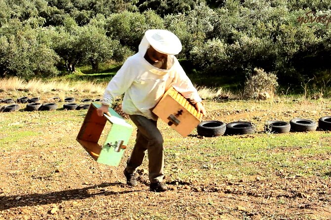 Small-Group Honey & Extra Virgin Olive Oil Tasting Tour in Crete - Key points at a glance