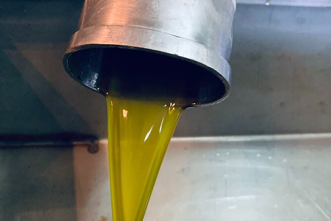 Small-Group Honey & Extra Virgin Olive Oil Tasting Tour in Crete - Arriving at Idiosmos in Pervolakia