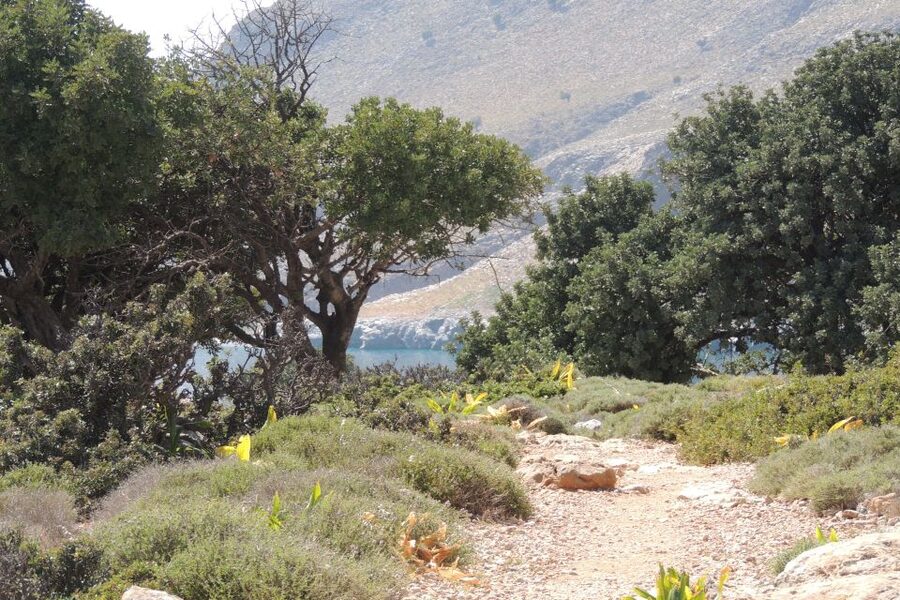 South Crete: Sarakinas Gorge Hike, Swim & Jeep Safari - Why this route works so well