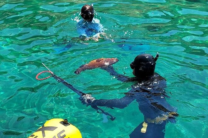 Spearfishing in Chania, Crete (price is per group) - Key points at a glance