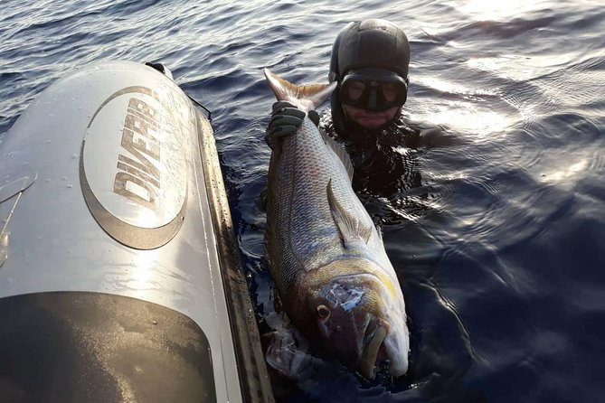Spearfishing in Chania, Crete (price is per group) - The boat tasting and the social side