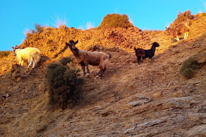 Sunset Jeep Tour in Crete - Karfi at sunset, with prosecco and fruit