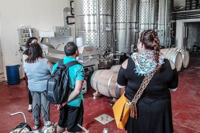 The Gourmet Wine Tour of Heraklion area - Learning about Cretan grapes without needing a wine degree