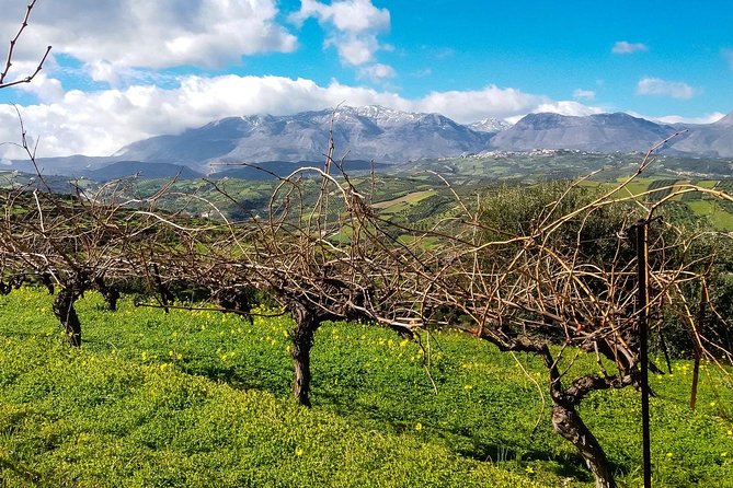 The Gourmet Wine Tour of Heraklion area - What the eight-hour schedule feels like