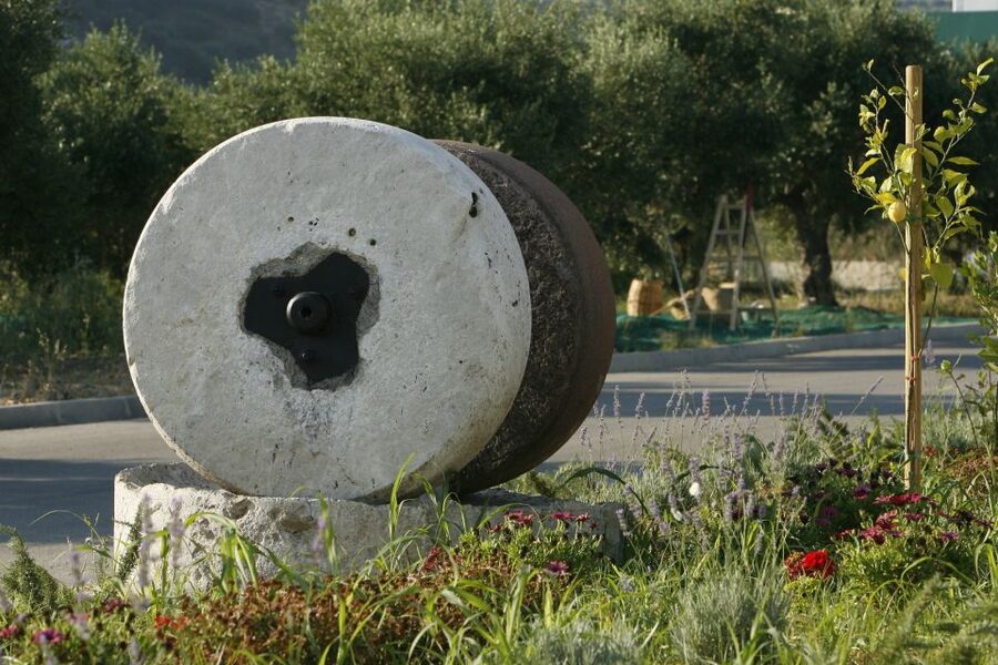 The Terra Creta Olive Oil Experience Tour - Why this one-hour olive oil visit works