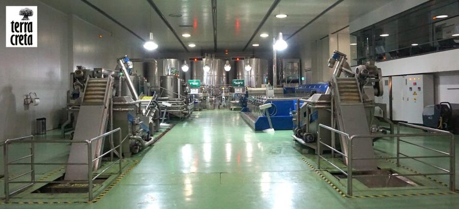 The Terra Creta Olive Oil Experience Tour - The tasting of three olive oils