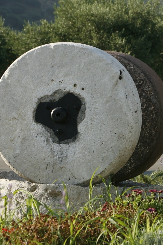 The Terra Creta Olive Oil Experience Tour - Shopping for olive oil you can take home