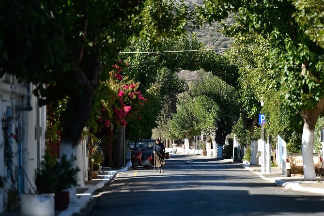 Traditional Villages of Kritsa and Kroustas - Who should book this outing