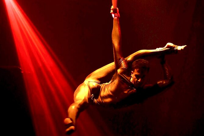 Troy Dinner-Show - The performances are the real reason to go