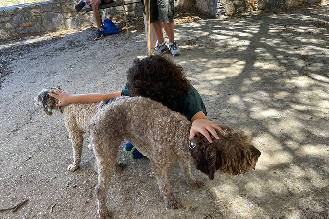 Truffle Hunting, Culinary & Wine Celebration from Heraklion - Hunting truffles with Nicos and his dogs
