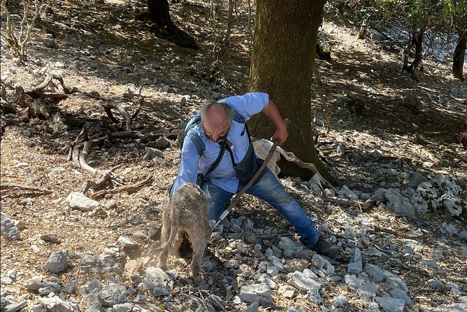 Truffle Hunting, Culinary & Wine Celebration from Heraklion - A Cretan meal built around fresh truffles