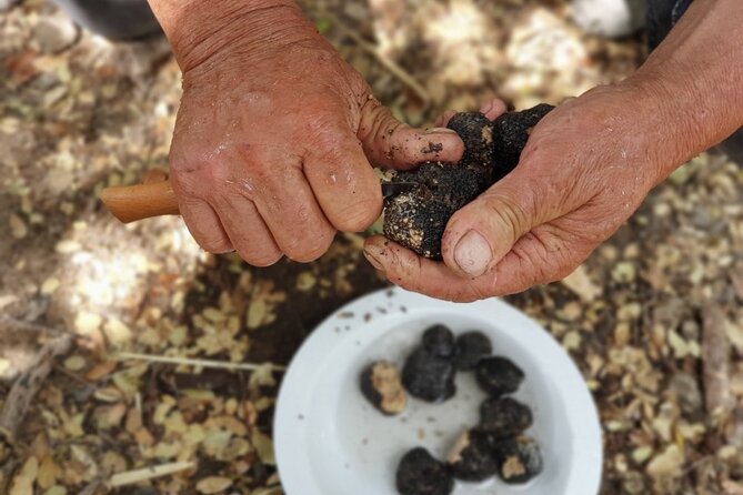 Truffle Hunting, Culinary & Wine Celebration from Heraklion - Pottery, monastery, and extra local stops