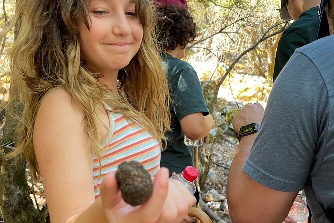 Truffle Hunting, Culinary & Wine Celebration from Heraklion - What the private format is really worth