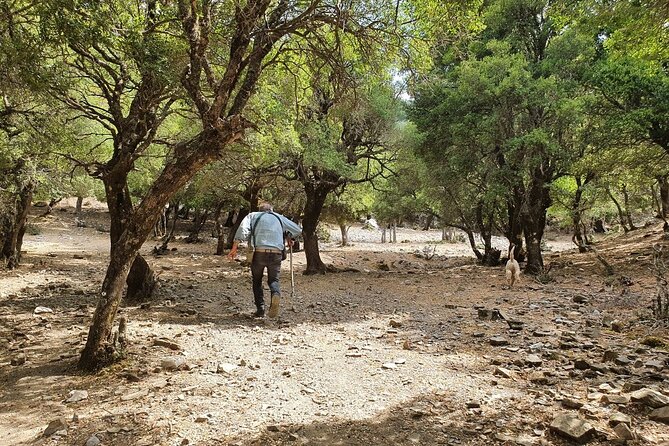 Truffle Hunting, Culinary & Wine Celebration from Heraklion - Krasi and the Lassithi windmills