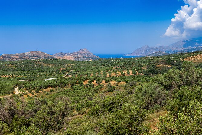 Wine, Beer, Olive Oil Tasting Private Tour (price per group of 6) - Timing, season, and practical planning