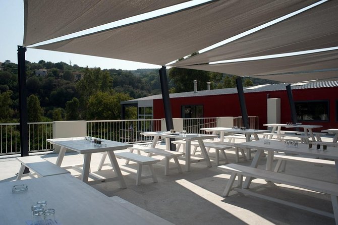 Wine, Beer, Olive Oil Tasting Private Tour (price per group of 6) - Working out the real value of $520.57