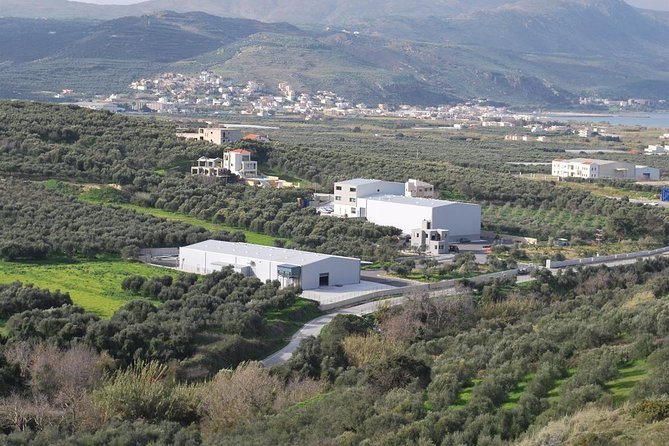 Wine, Beer, Olive Oil Tasting Private Tour (price per group of 6) - Anoskeli Winery and Olive Mill