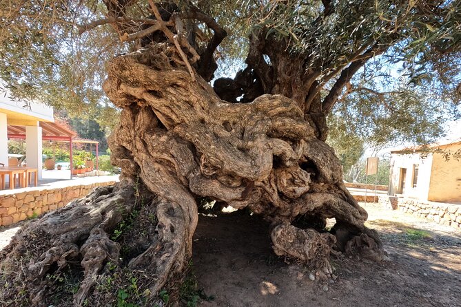 Wine, Dine & Divine: A Cretan Odyssey in Chania. - Gonia Monastery and 45 minutes of Cretan faith