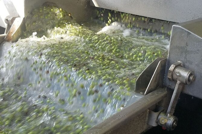 Wine, Olive Oil, and Honey Tour with Winemaker - Why this Crete food tour feels different