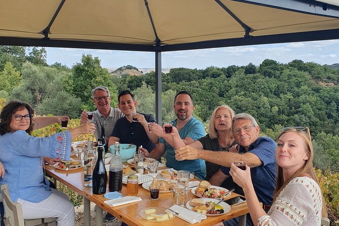 Wine, Olive Oil, and Honey Tour with Winemaker - A vineyard lunch that is more than a snack