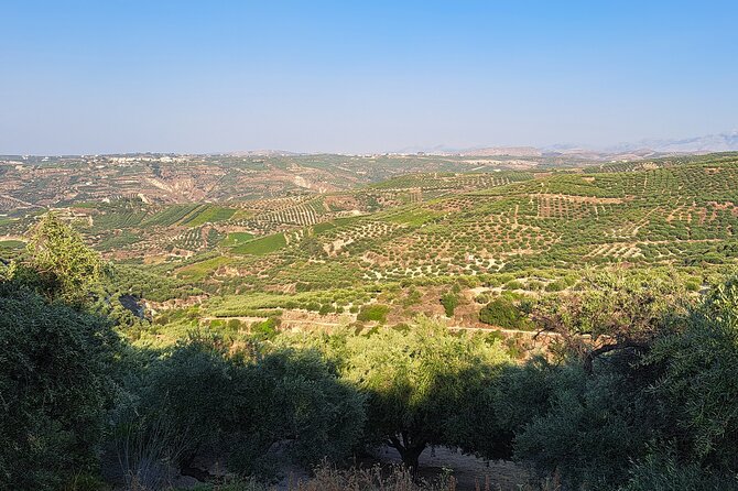 Wine Raki Olive Oil Tasting and Pottery - Private Tour - What the private format changes