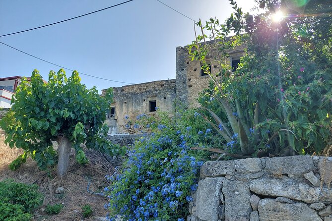 Wine Tasting: Meet the Cretan Vineyard at West Chania - The strongest reasons to book