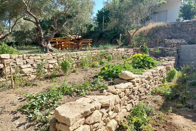 Wine Tasting: Meet the Cretan Vineyard at West Chania - Who will enjoy this most