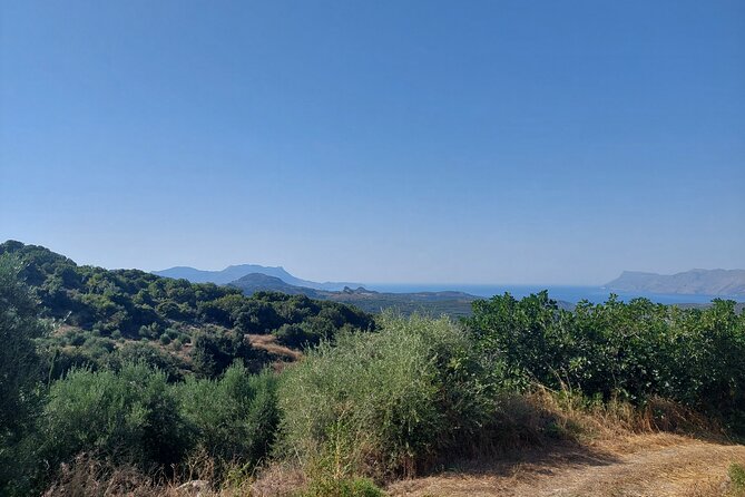 Wine Tasting: Meet the Cretan Vineyard at West Chania - A closer look at the wine education