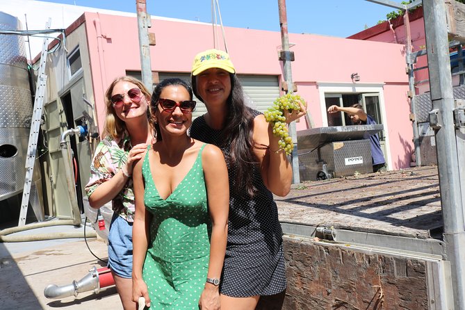 "YAMAS" - Winery tour &wine tasting - What makes the Cretan grapes useful to learn about