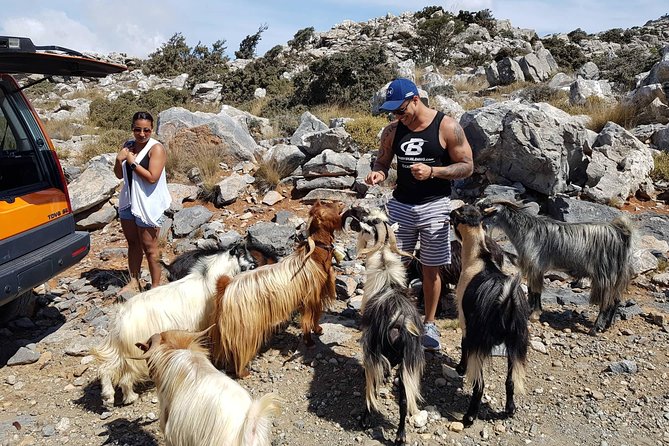 Zeus Cave, Lassithi Plateau, Olive Oil Factory, Kritza, Pottery - Katharo Plateau and the high road